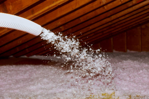 Best Blown-in Insulation in Ruthers, CA