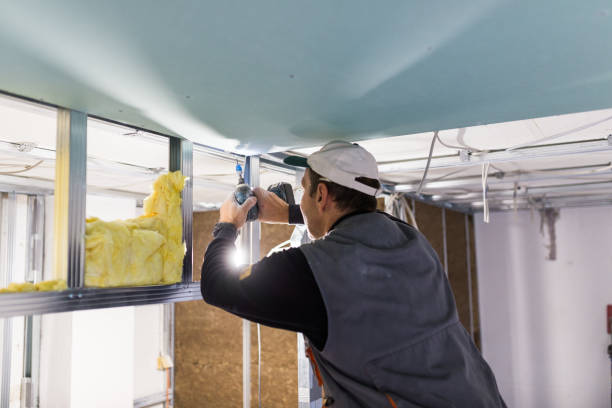 Best Specialized Insulation Services in Ruthers, CA