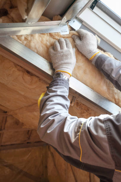 Best Insulation Maintenance and Repair in Ruthers, CA